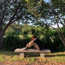 hwang-jinnies avatar