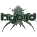 hybrid13-blog avatar