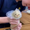 hydrocat-oxide avatar