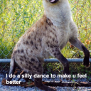 hyenatrash avatar