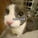 hyperfixincident avatar