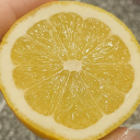 i-am-the-london avatar