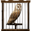 i-love-barn-owls avatar