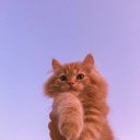 i-love-him-on-purpose avatar