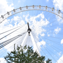 i-ntrover-ted avatar