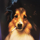 i-want-something-to-die-for avatar