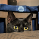 i-was-going-to avatar