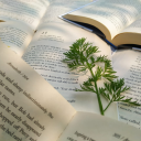 i-wish-i-were-softer avatar