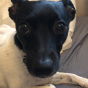 iamcarseatheadrest avatar