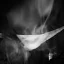 iampandicornia avatar