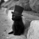 iamtinydangernoodle avatar