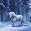 iamwhoiamtmblr avatar