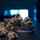 ianonthedaily avatar