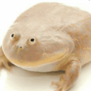 ianthisissufferer avatar