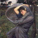 ibetonlosingdogz avatar