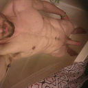 icebergsonlyplease avatar