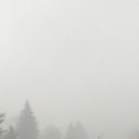 icedoesntforgive avatar