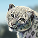 iceflowerglow avatar