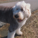 ick-just-go-away avatar