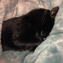 idkalotbutiknowwhatilove avatar