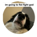 idonttakelipfromacunt avatar