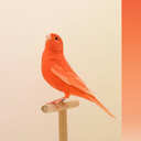 if-you-put-your-mind-to-it avatar