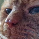 ifourmindbeso avatar