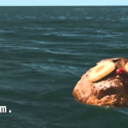 igiveuponaurlname avatar