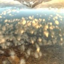 ignaciogaldames avatar