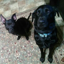 ignorancehurtsworld avatar