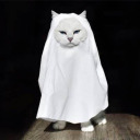 igotfireforaheart avatar