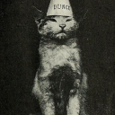 iheartblondetwinks avatar