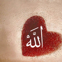 ihearttallah-blog avatar