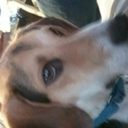 ijustwantmyshipstobehappy avatar