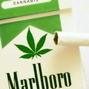 ildisastrochesono avatar