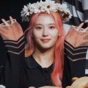 ilikebiscuits avatar