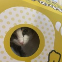 ilistentogirlinred avatar