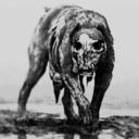 illianagothic avatar