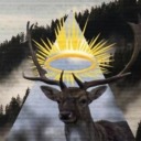 illogicalpine avatar