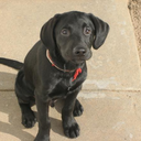 illrunwithyou avatar