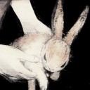 ilmielelamore avatar