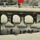 ilovemusclegifs avatar