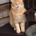 ilovephananddantdm avatar