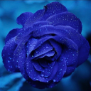 ilovereading5252 avatar