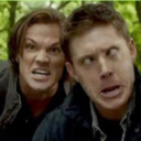 ilovethewinchesterbrothers-blog avatar