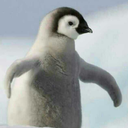 im-just-a-penguin avatar