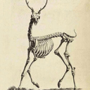 im-not-a-writer avatar