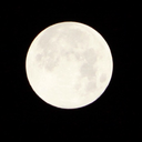 image-or-real avatar