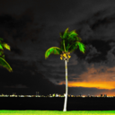 imagine-allthepeople avatar