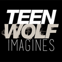 imaginesteenwolf avatar